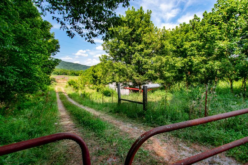 136 Mountain Rd, Luttrell, TN 37779