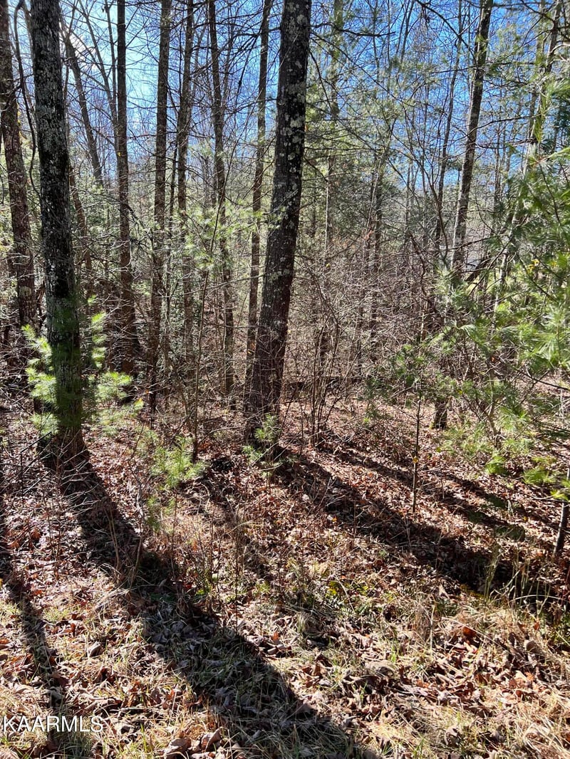 136 Natchez Cir, Crossville, TN 38558