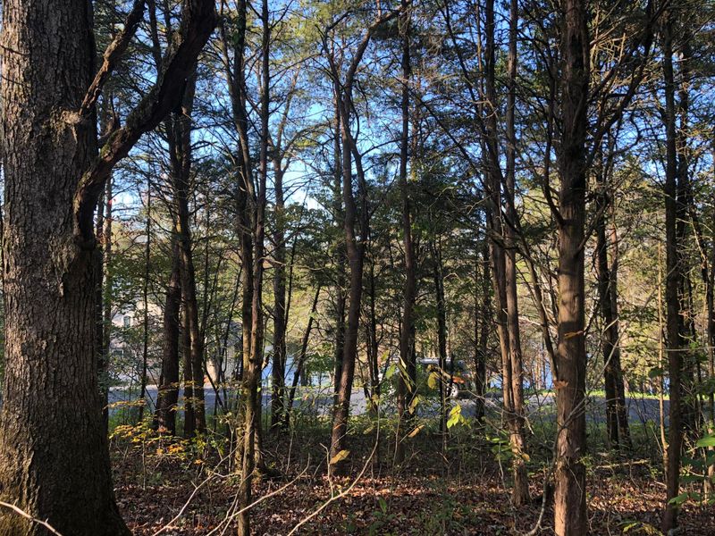 136 Noya Ln, Loudon, TN 37774