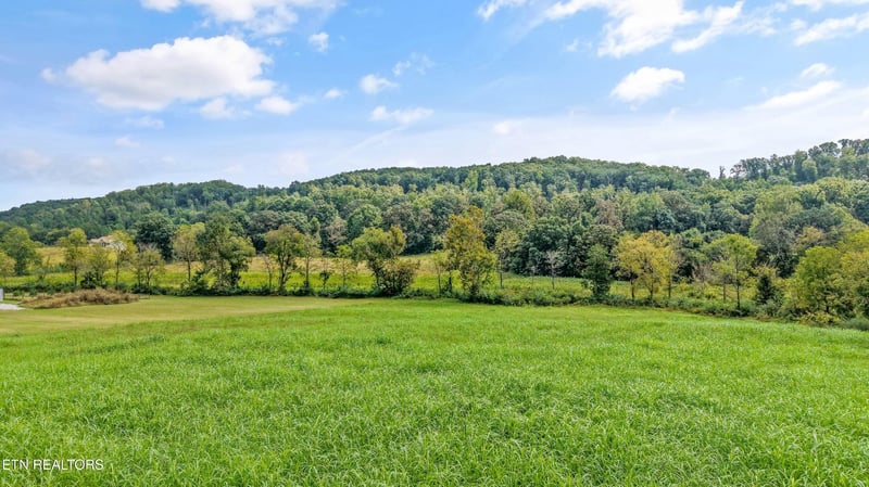 1361 Paint Rock Valley Rd, Philadelphia, TN 37846