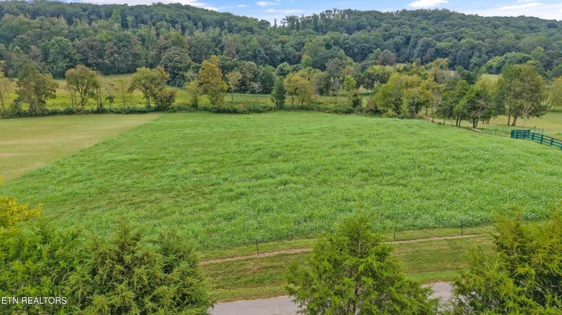 1361 Paint Rock Valley Rd, Philadelphia, TN 37846