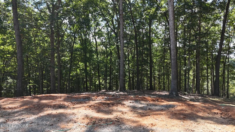 137 Eagles Crest Ct, Loudon, TN 37774