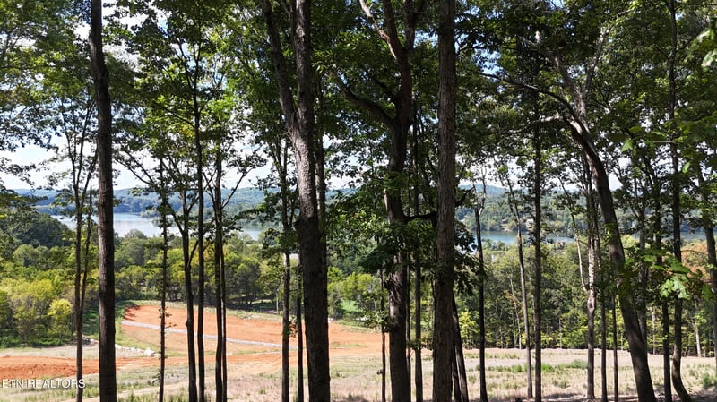 137 Eagles Crest Ct, Loudon, TN 37774