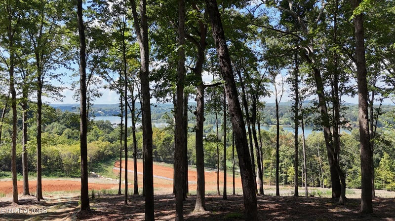 137 Eagles Crest Ct, Loudon, TN 37774