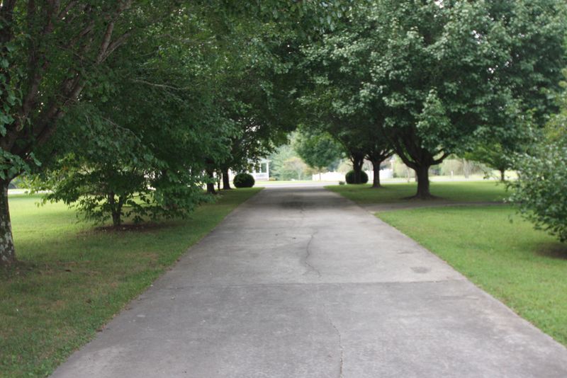 137 Morgan Fields Dr, Wartburg, TN 37887