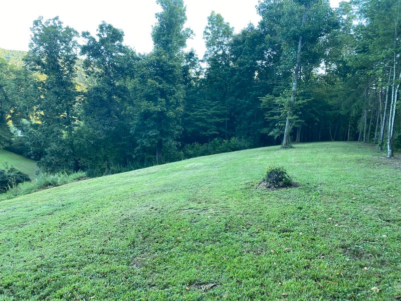 137 Summerset Ln, Pioneer, TN 37847