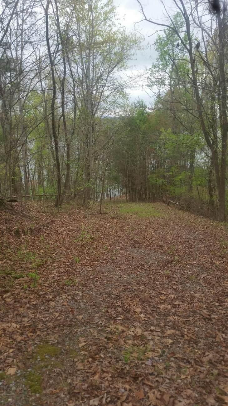1372 Indian Shadows Dr, Ten Mile, TN 37880