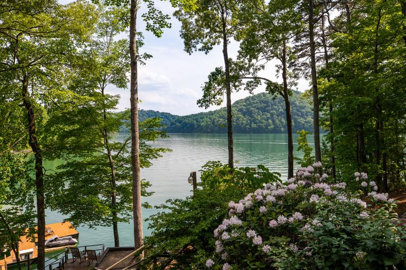 1375 Cove Pointe Rd, Lafollette, TN 37766