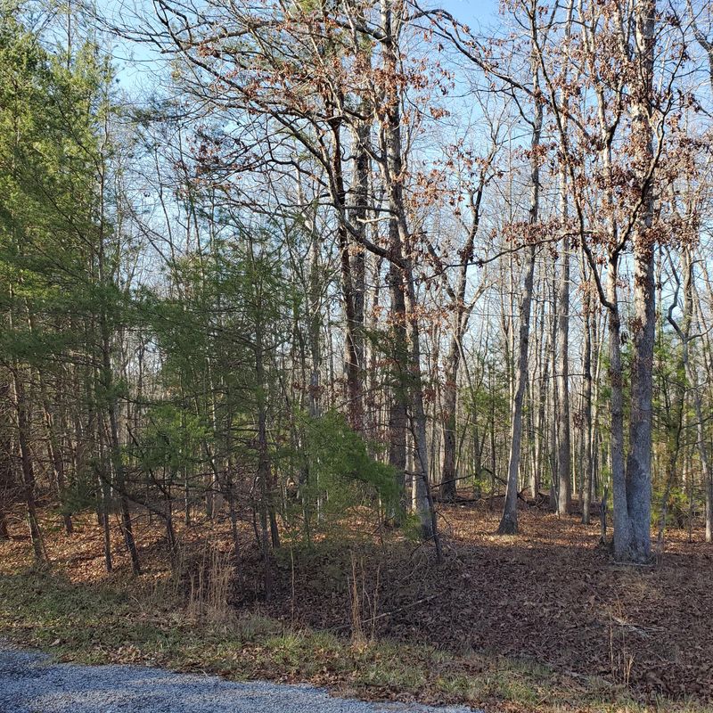 138 Lechmere Dr, Crossville, TN 38558
