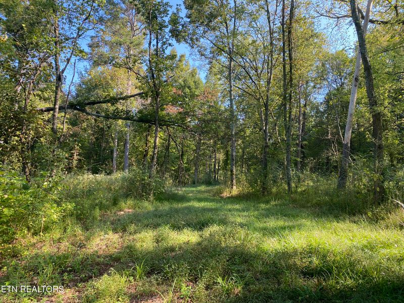 138 Main Hollow Road Rd, Philadelphia, TN 37846