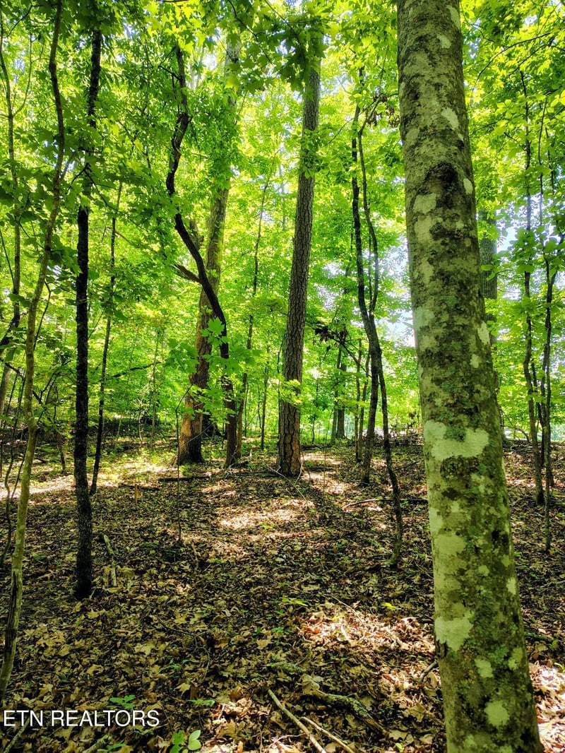 138 Stooksbury Ln, Andersonville, TN 37705