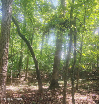 138 Stooksbury Ln, Andersonville, TN 37705
