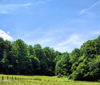 138 Stooksbury Ln, Andersonville, TN 37705