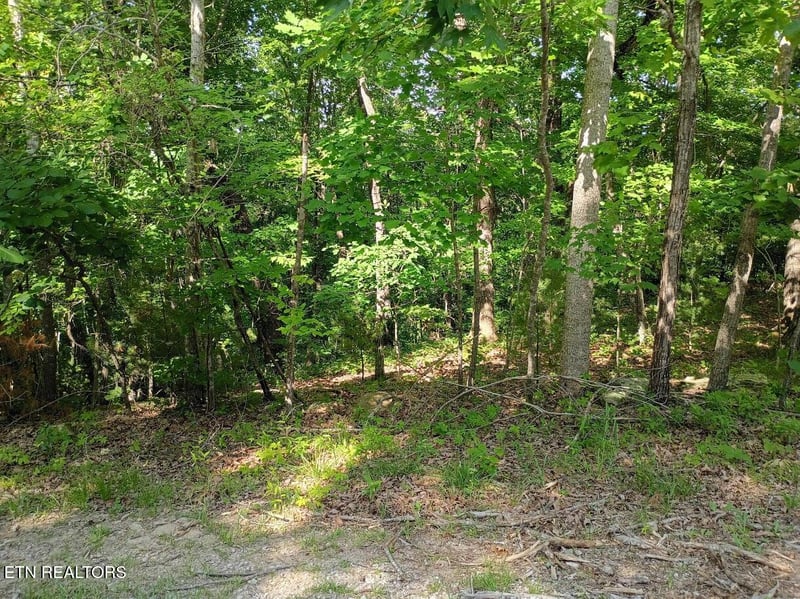 139 Havenridge Cir, Crossville, TN 38558