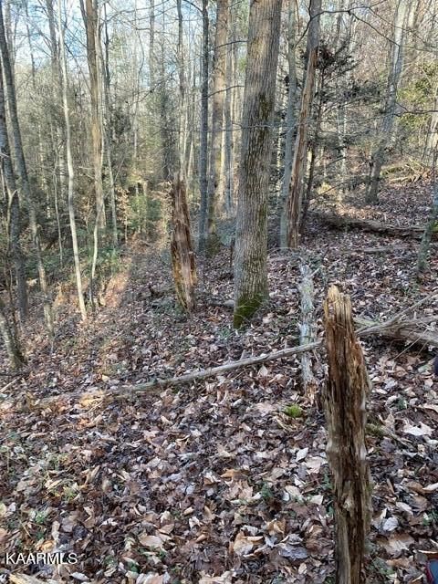 139 Strunk Rd, Wartburg, TN 37887