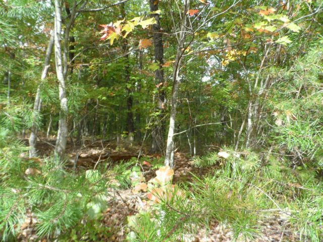 14 Driftwood Ct, Fairfield Glade, TN 38558