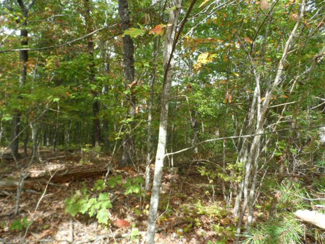 14 Driftwood Ct, Fairfield Glade, TN 38558