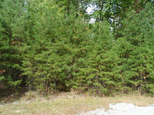 14 Driftwood Ct, Fairfield Glade, TN 38558