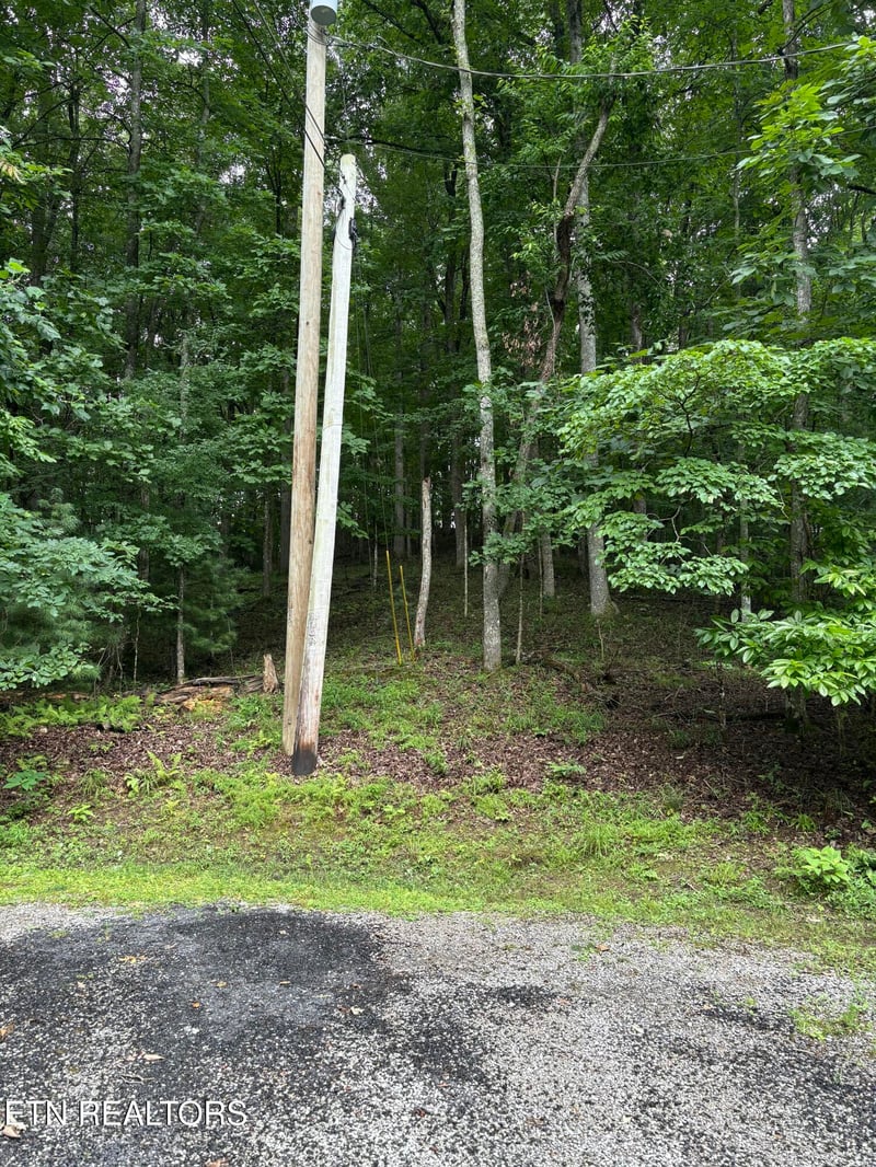 14 Lynhurst Cir, Crossville, TN 38558