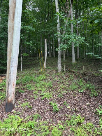 14 Lynhurst Cir, Crossville, TN 38558