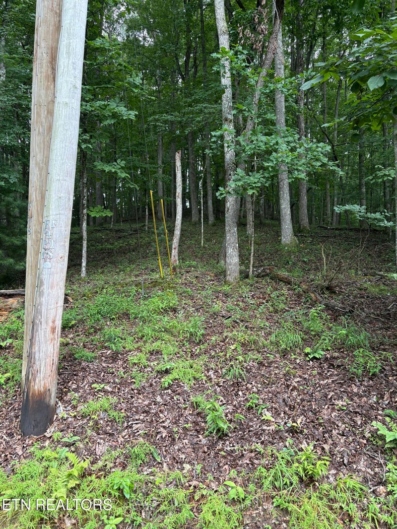 14 Lynhurst Cir, Crossville, TN 38558