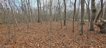14 Pond Rd, Monterey, TN 38574