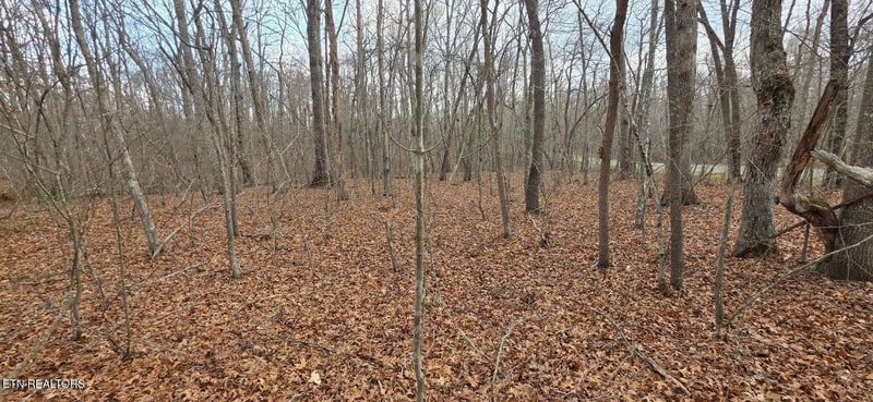 14 Pond Rd, Monterey, TN 38574