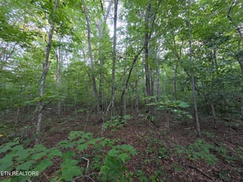 14 Pond Rd, Monterey, TN 38574