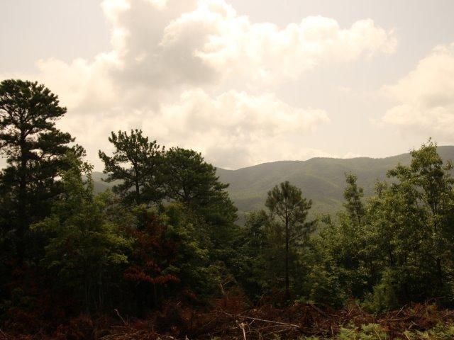 14 Smithfield Rd #14, Tellico Plains, TN 37385