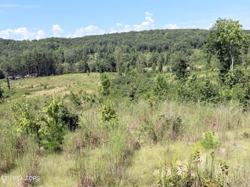 140 County Road 190, Decatur, TN 37322