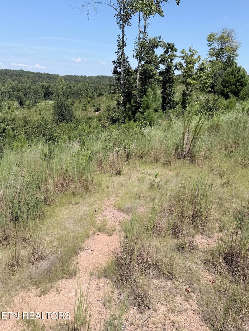 140 County Road 190, Decatur, TN 37322