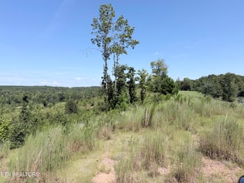 140 County Road 190, Decatur, TN 37322