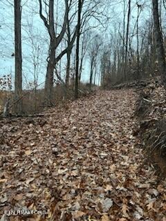 140 County Road 89, Athens, TN 37303
