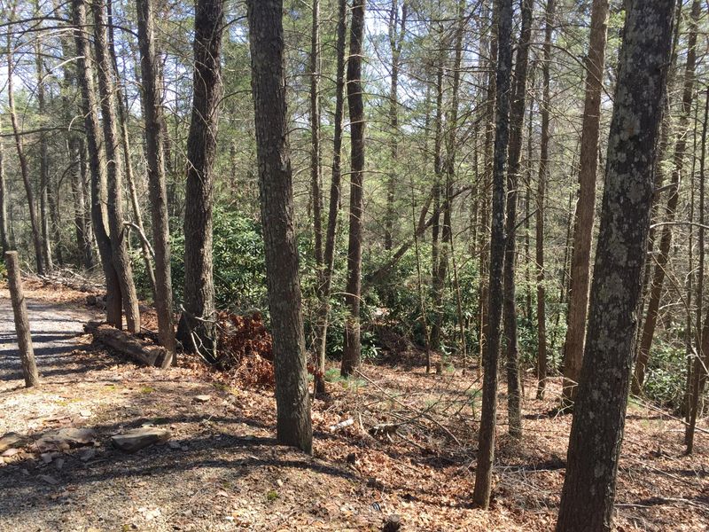 140 Holder Cemetery Rd, Coker Creek, TN 37314