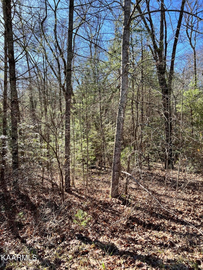 140 Natchez Cir, Crossville, TN 38558