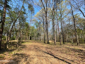 140 Padstow Ln, Lenoir City, TN 37772