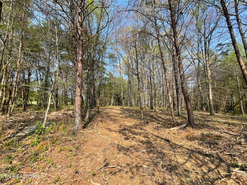 140 Padstow Ln, Lenoir City, TN 37772