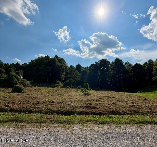 140 Scenic View Ln, Madisonville, TN 37354