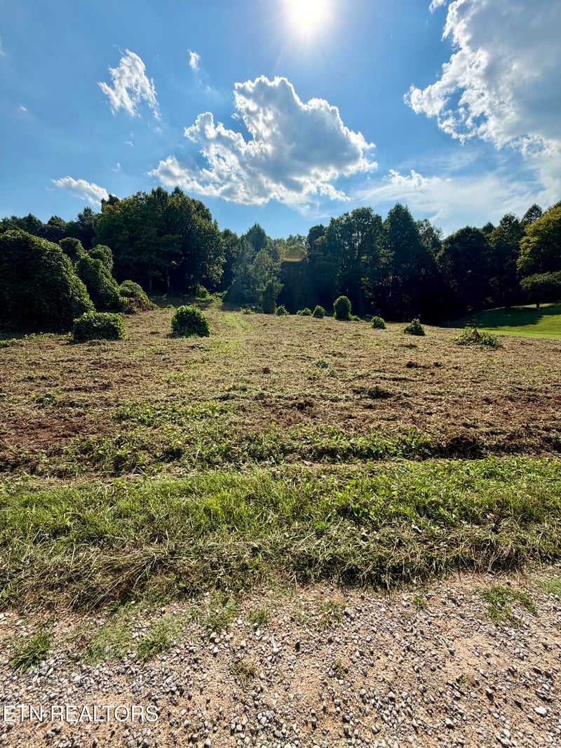 140 Scenic View Ln, Madisonville, TN 37354