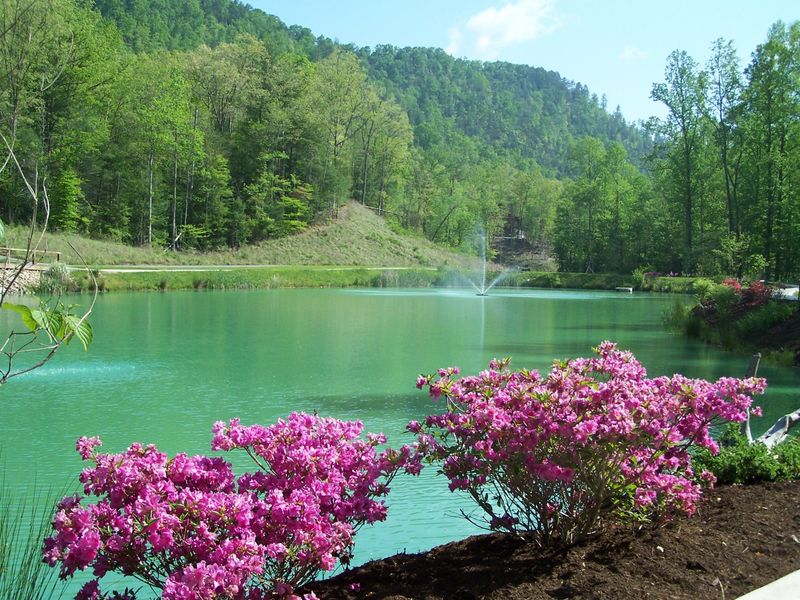 140 Springside Way, Townsend, TN 37882