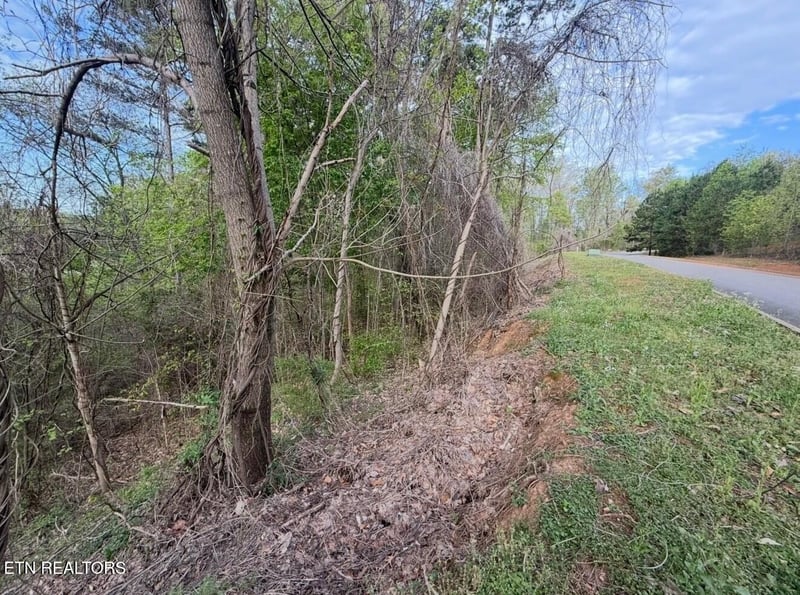 140 Tumbleweed Tr, Rutledge, TN 37861