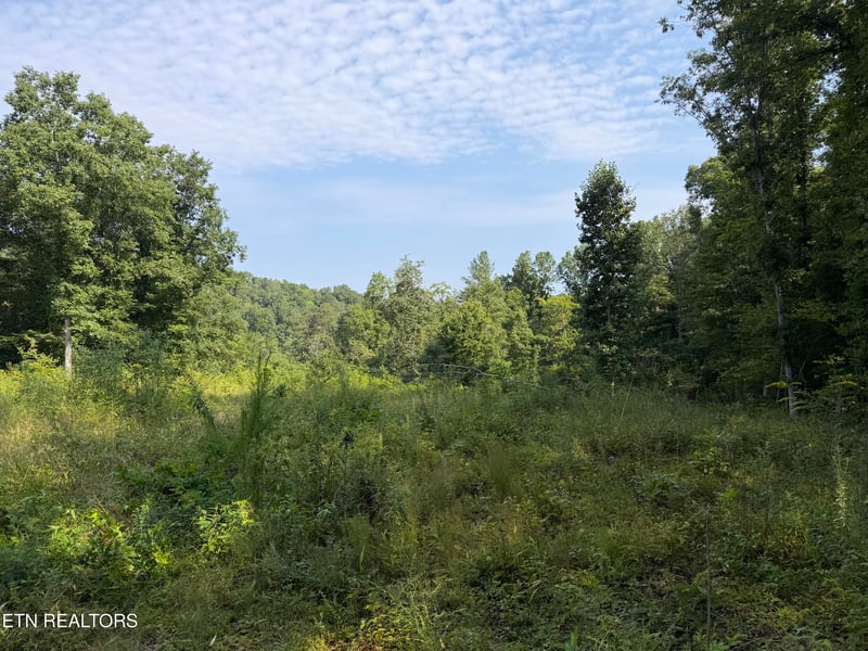 140.30 Ac Skull Creek Rd, Robbins, TN 37852