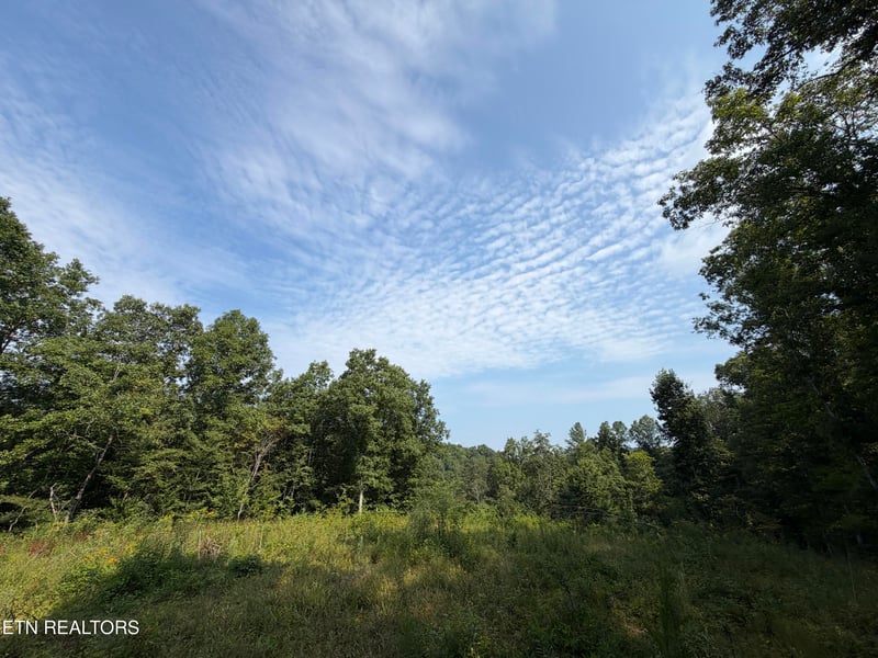 140.30 Ac Skull Creek Rd, Robbins, TN 37852
