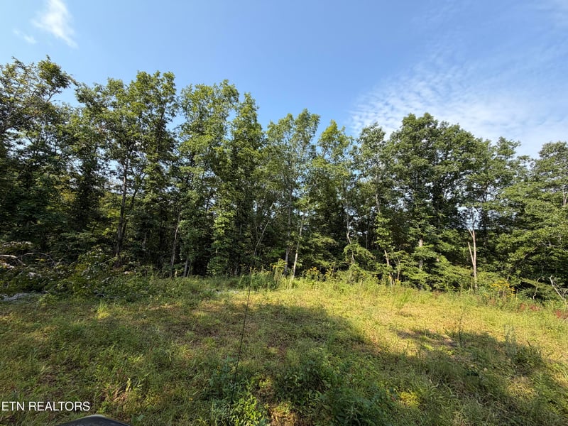 140.30 Ac Skull Creek Rd, Robbins, TN 37852