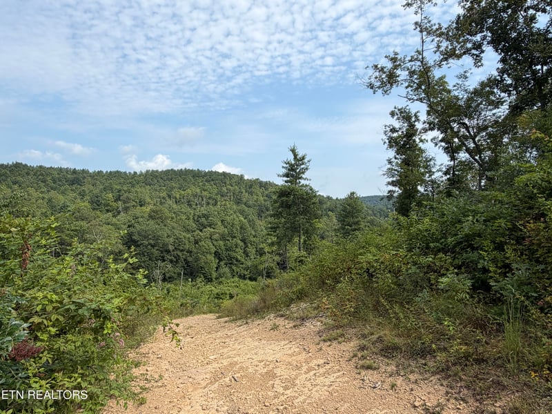 140.30 Ac Skull Creek Rd, Robbins, TN 37852