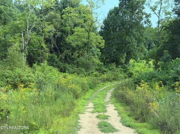 140.30 Ac Skull Creek Rd, Robbins, TN 37852