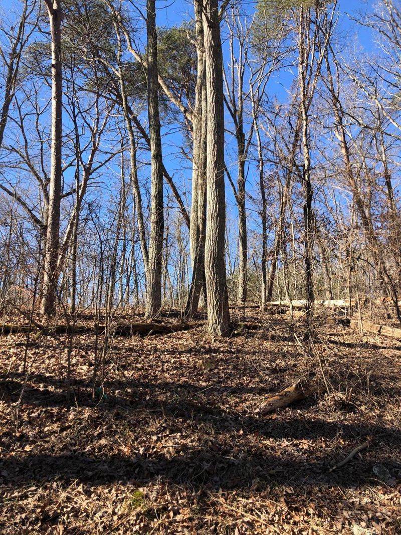 1401 Rest Camp Rd, Lenoir City, TN 37771
