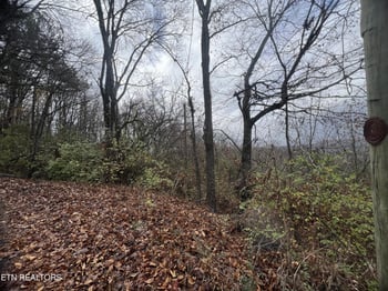1402 Rhode Island Rd, Knoxville, TN 37912