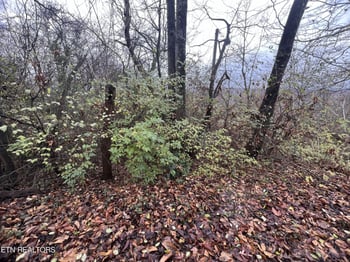 1402 Rhode Island Rd, Knoxville, TN 37912