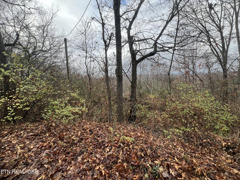 1402 Rhode Island Rd, Knoxville, TN 37912